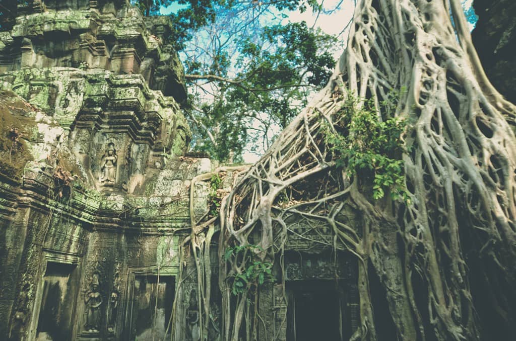 Đền Taprom còn được gọi là Lăng mộ Hoàng hậu, nơi những cây cổ thụ vĩ đại bao phủ nhiều công trình, tạo nên những hình thù cổ quái và hấp dẫn. Đền Taprom còn được gọi là Lăng mộ Hoàng hậu, nơi những cây cổ thụ vĩ đại bao phủ nhiều công trình, tạo nên những hình thù cổ quái và hấp dẫn.